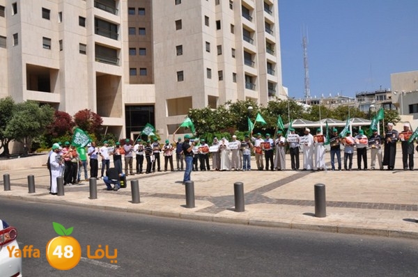 td egyptembassy 815u (48).JPG